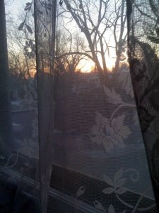 Sunrise Through My Bedroom Window
